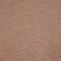 Westwood Apricot