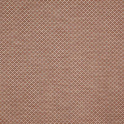Westwood Apricot