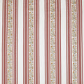 Wyndley Apricot