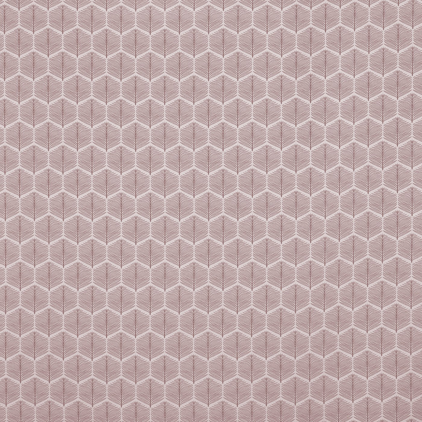 Puccini Petal