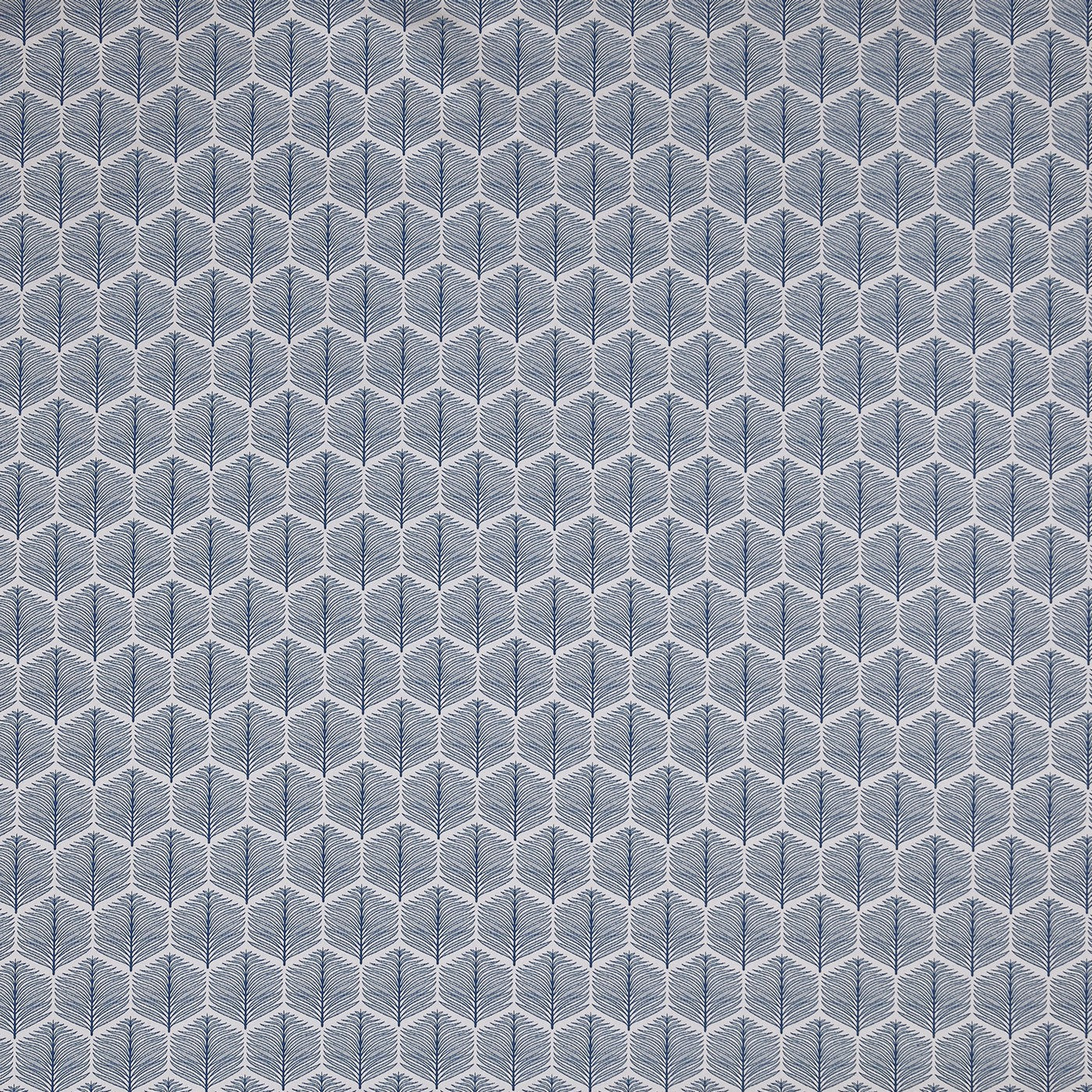 Puccini Navy
