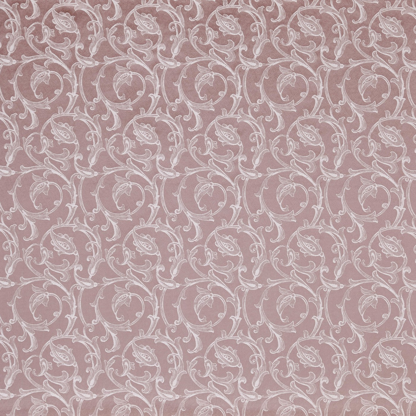 Vivaldi Petal