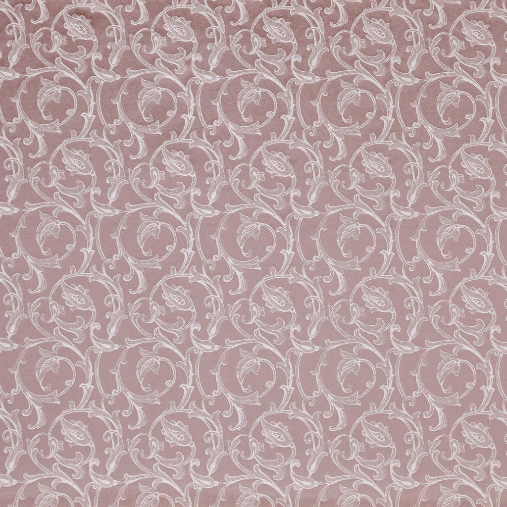 Vivaldi Petal