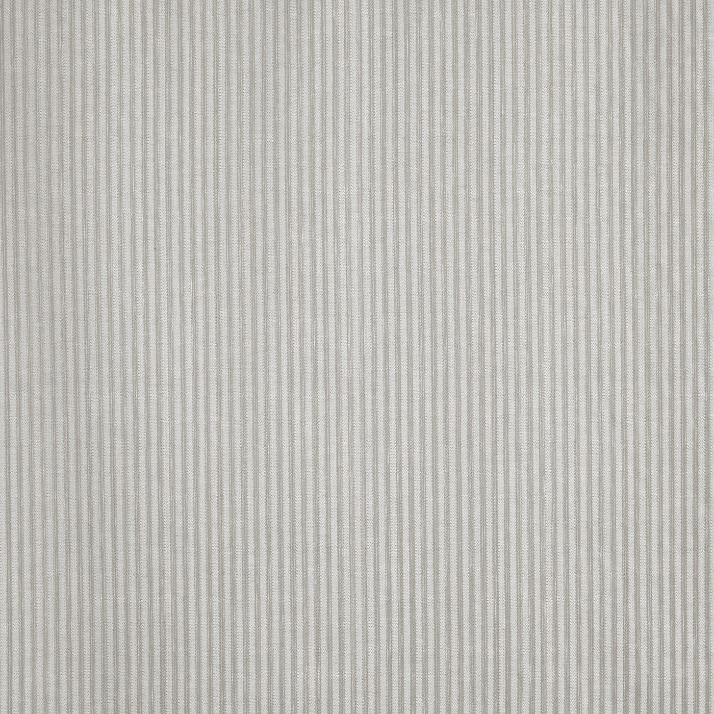Duet Feather