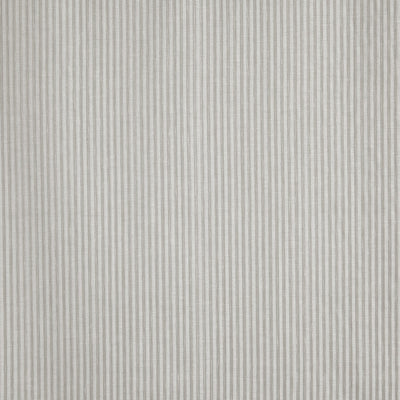 Duet Feather