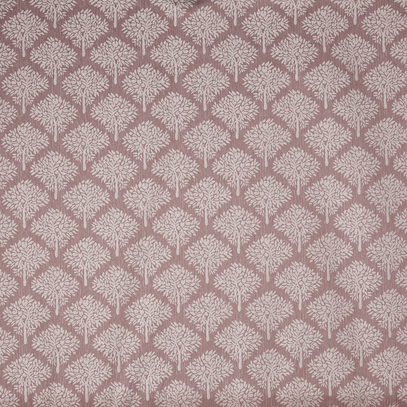 Rossini Petal