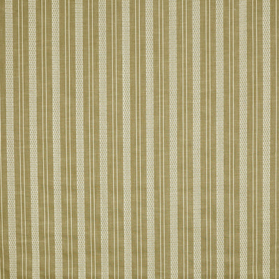 Form Spruce