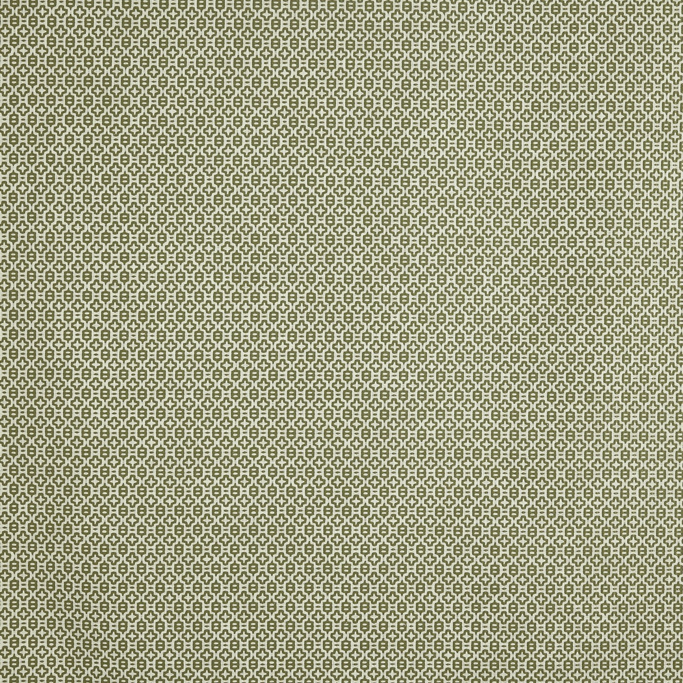 Judd Spruce
