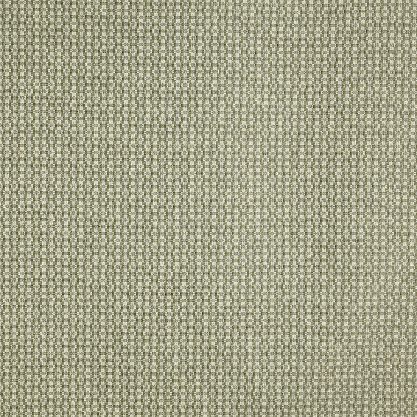 Sander Spruce