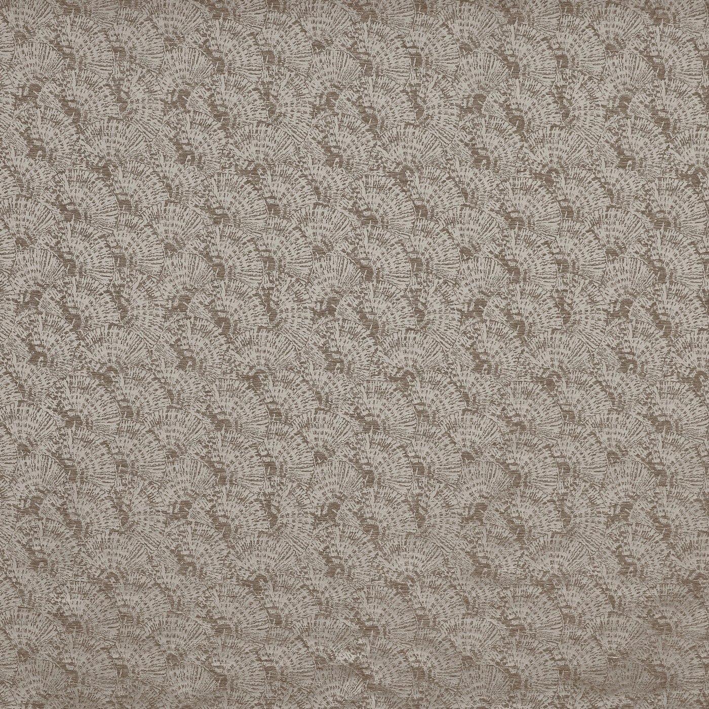 Neve Bronze