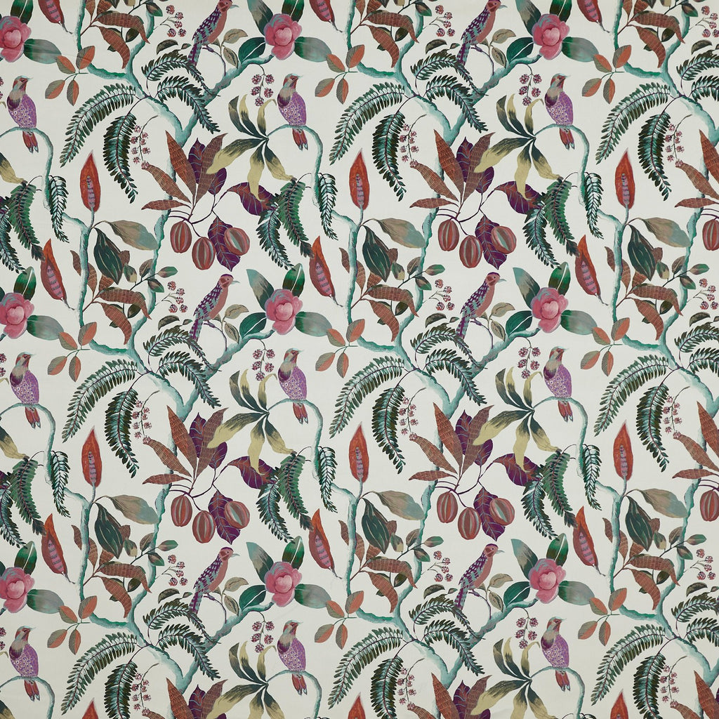 Sumatra Lotus (pts104)