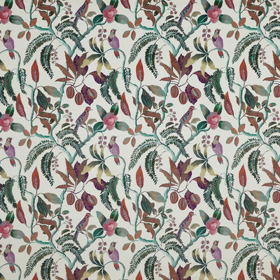 Sumatra Lotus (pts104)