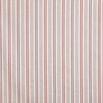 Foxhall Apricot