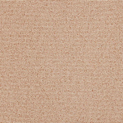 Turner Apricot