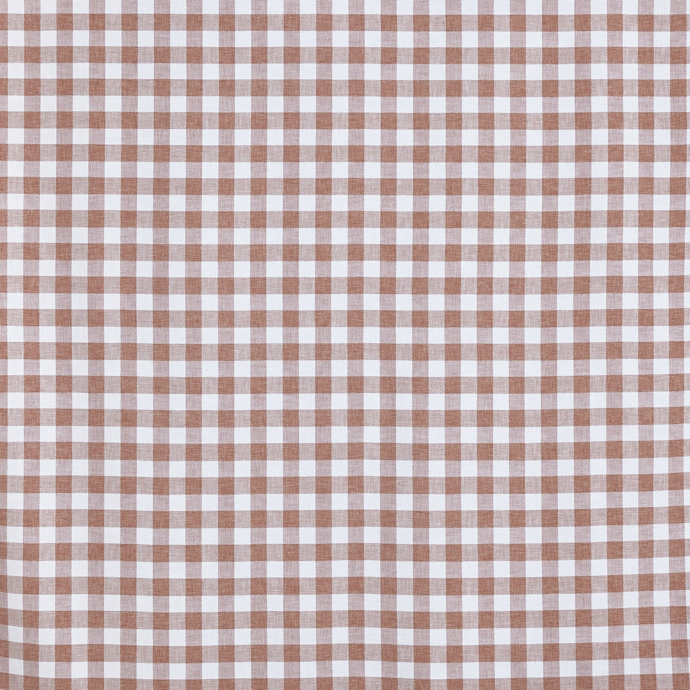 Wilson Apricot