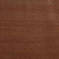 Burton Apricot