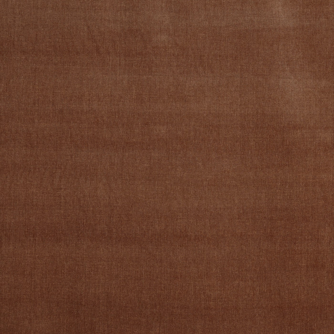 Burton Apricot