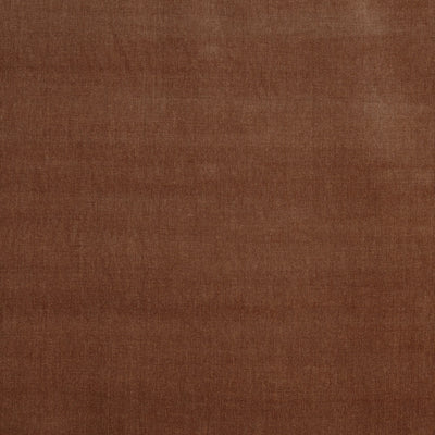 Burton Apricot