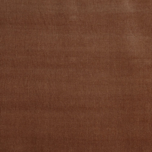 Burton Apricot