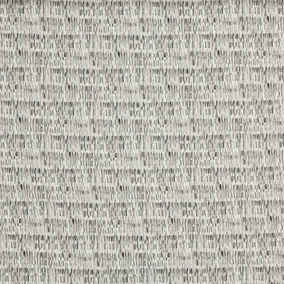 Bobbi Graphite (pts127)