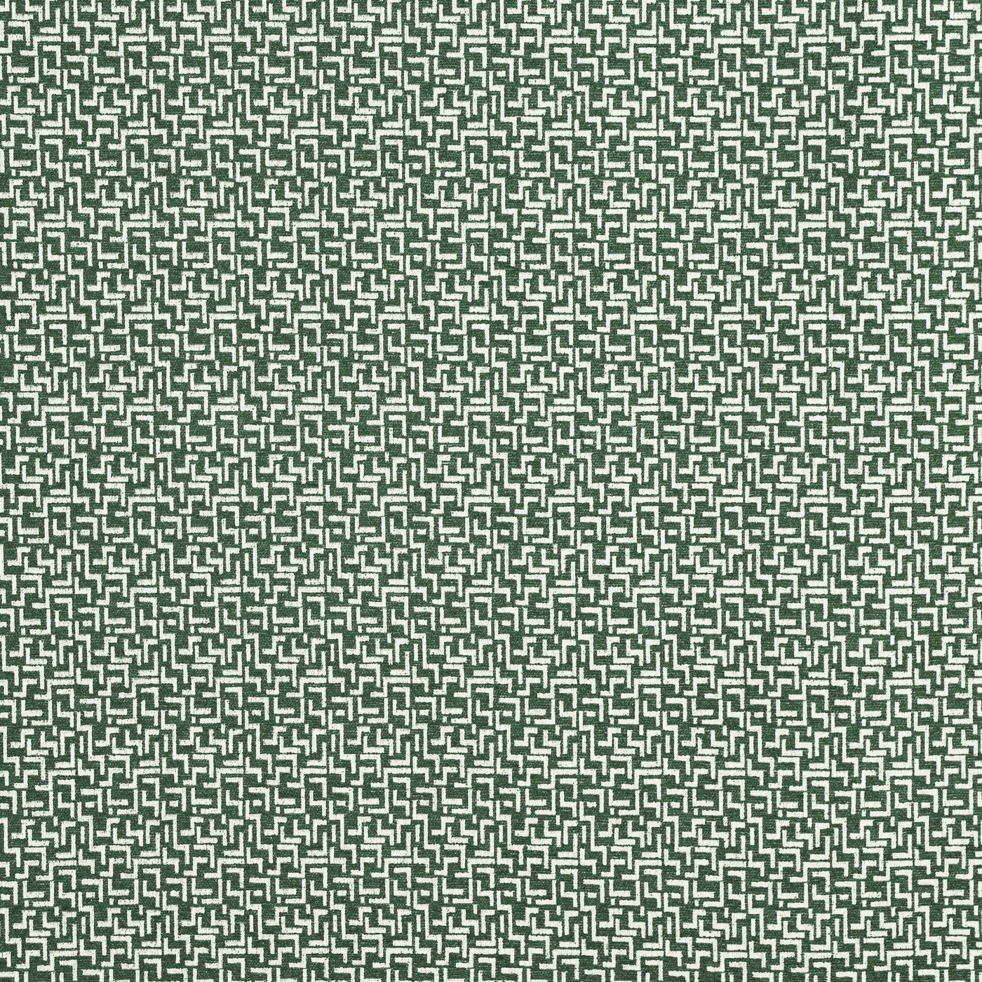 Brixton Ivy
