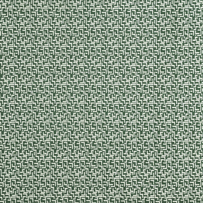 Brixton Ivy