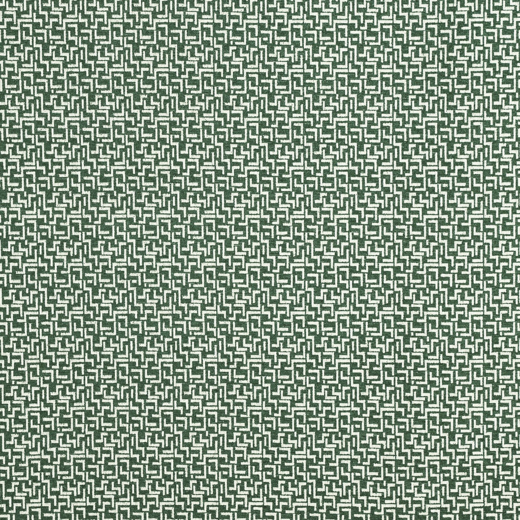 Brixton Ivy