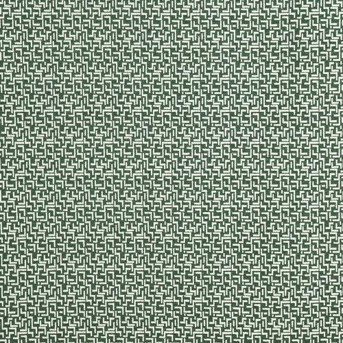 Brixton Ivy