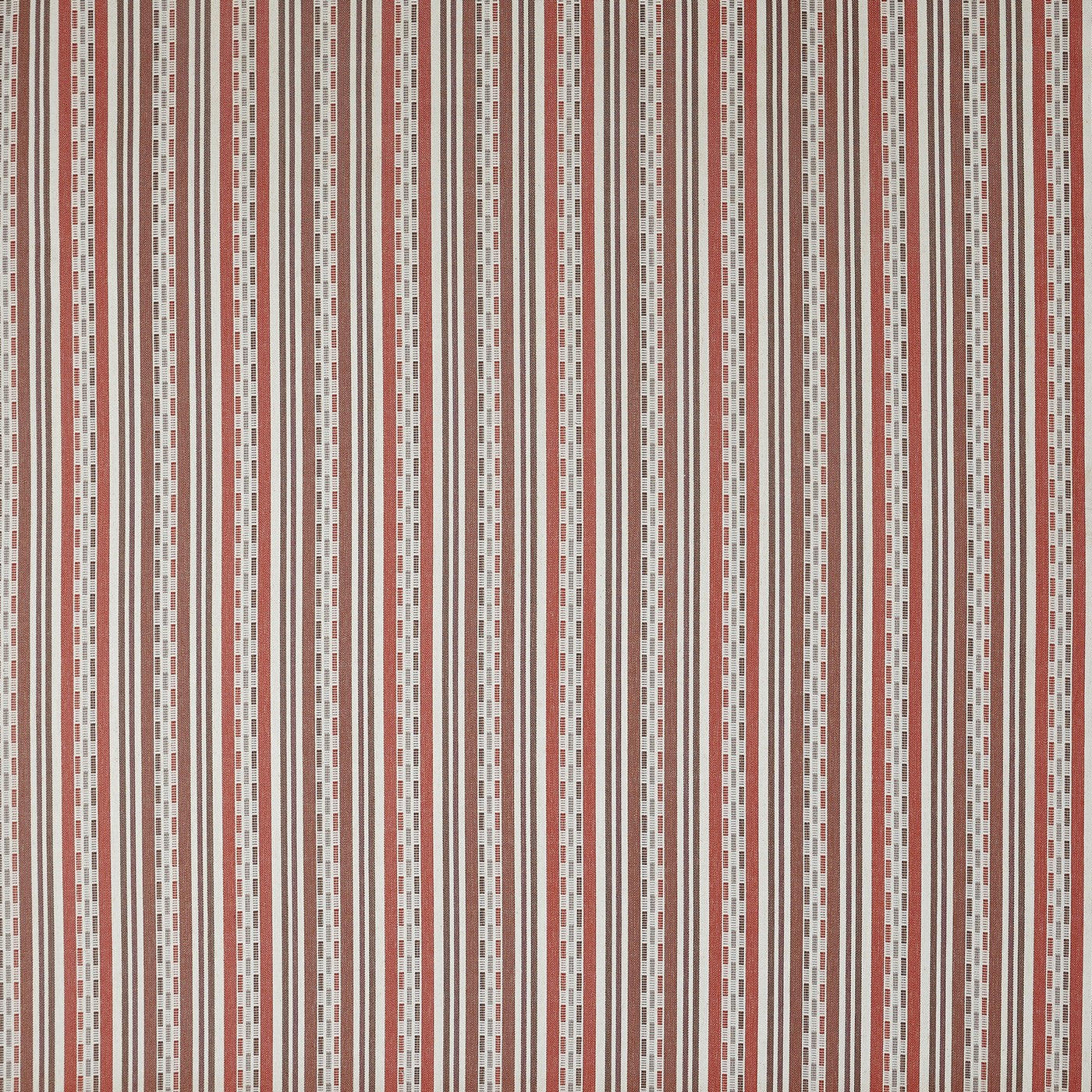 Abara Cinnabar