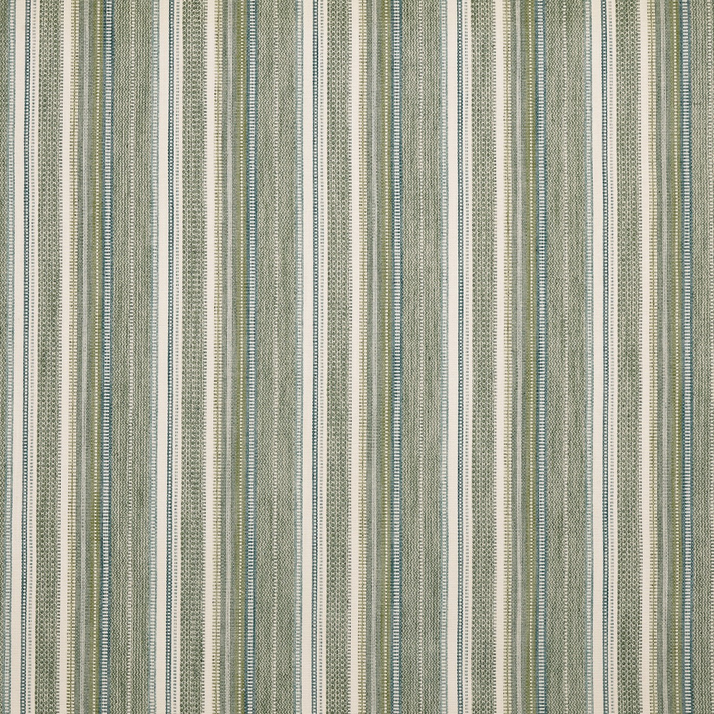 Zola Cactus