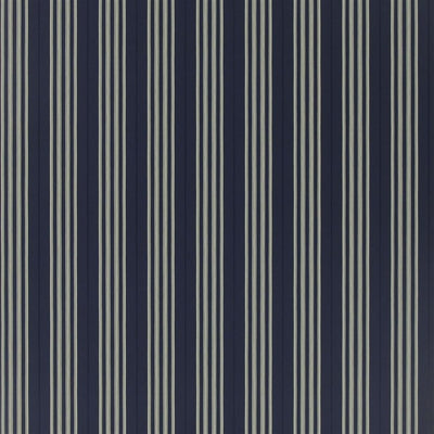 Palatine Stripe - Midnight (Coastal Papers)