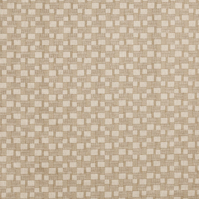 Marco Butterscotch