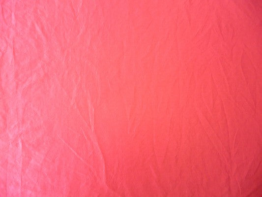 Polo Orchid