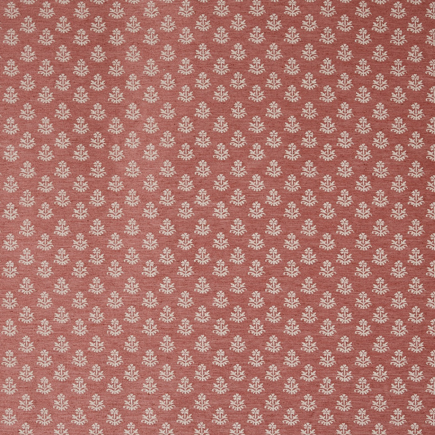 Zari Tangerine
