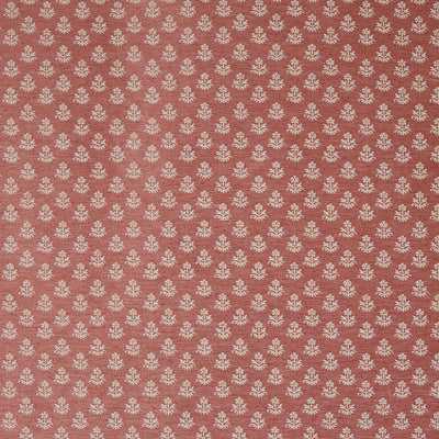 Zari Tangerine