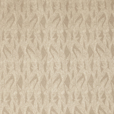 Dali Angora