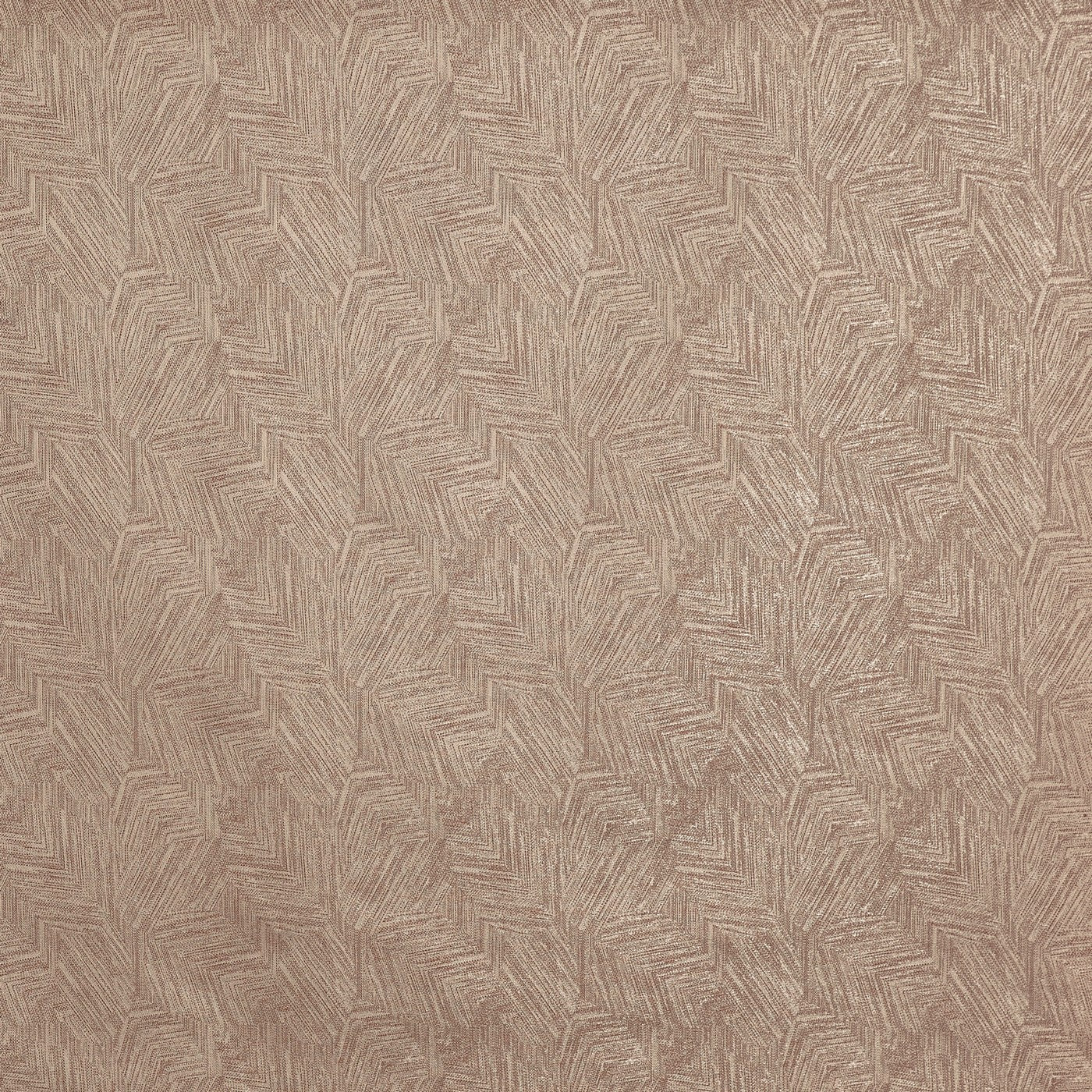 Sarcone Mocha