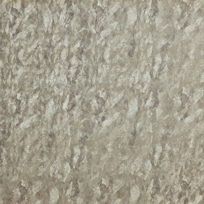 Varini Angora