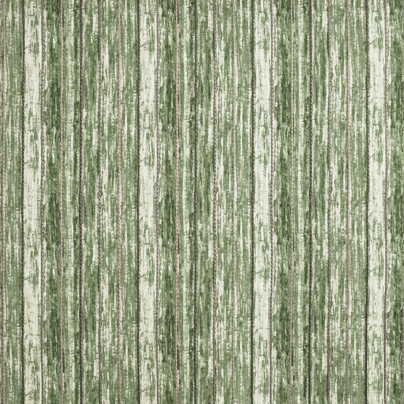 Trenzado Grassland