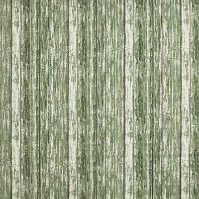 Trenzado Grassland
