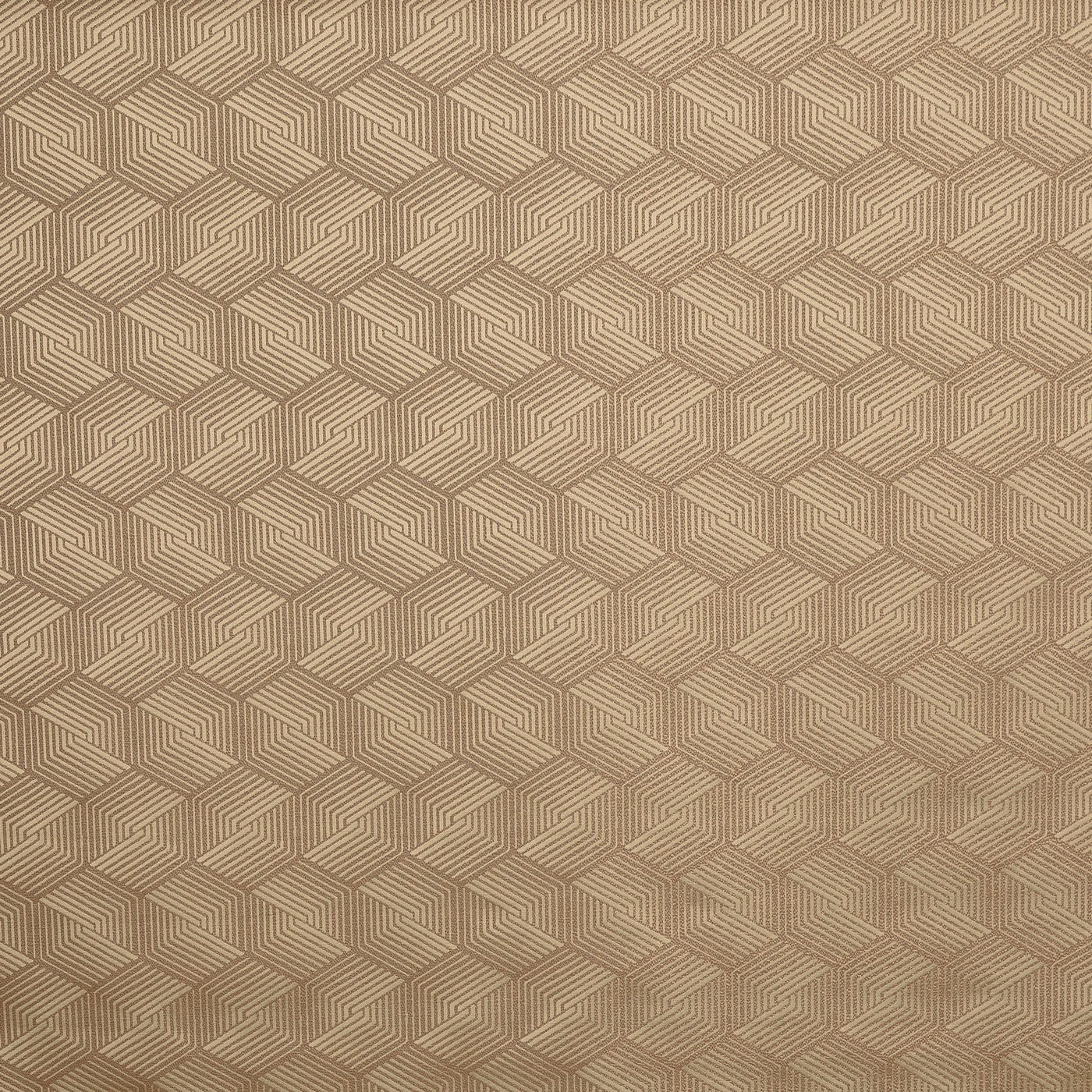 Caza Desert