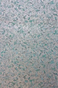Ebru (Pasha)