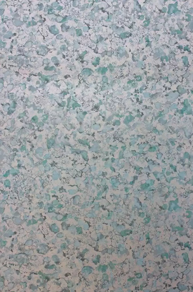 Ebru (Pasha)