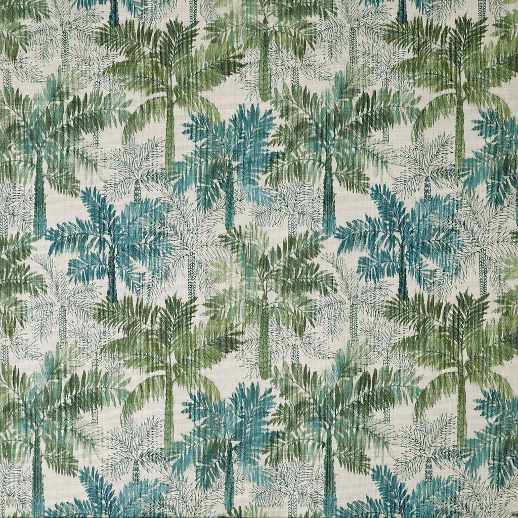 Flacq Rainforest