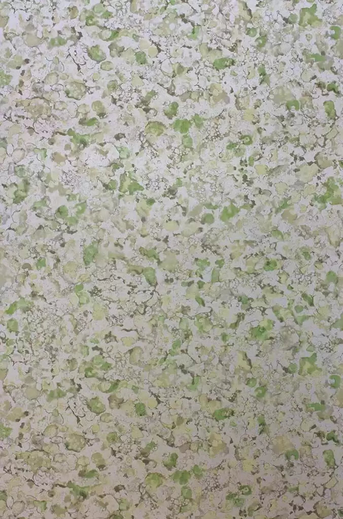 Ebru (Pasha)