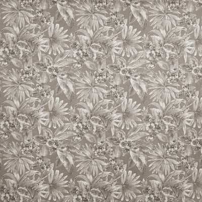 Rosebelle Almond