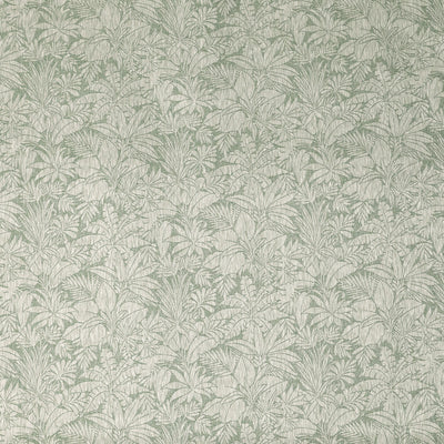 Tamarin Cucumber