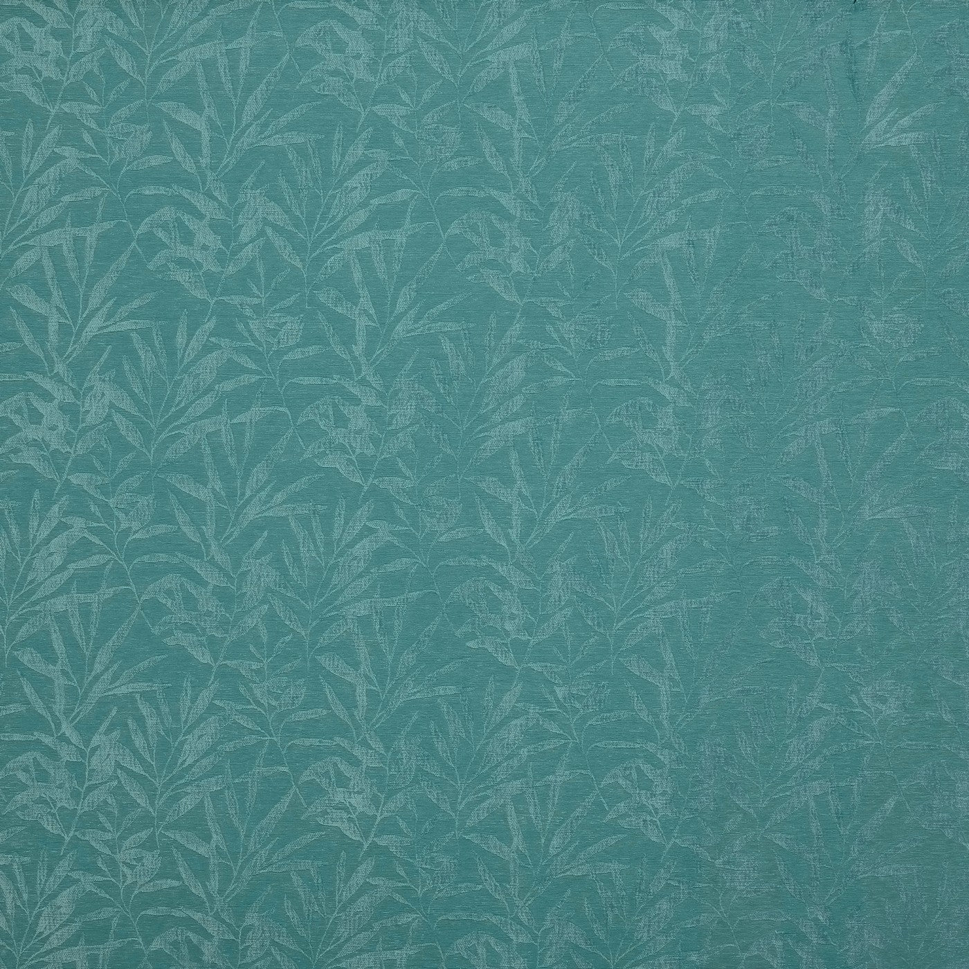Triolet Rainforest