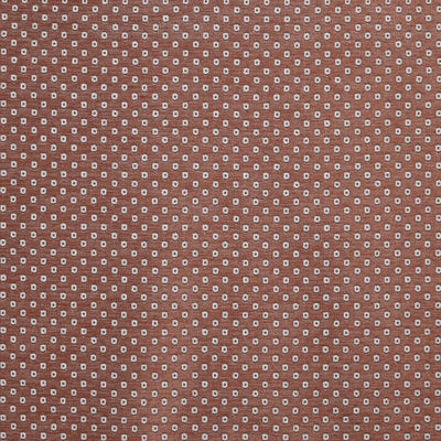 Donata Sienna