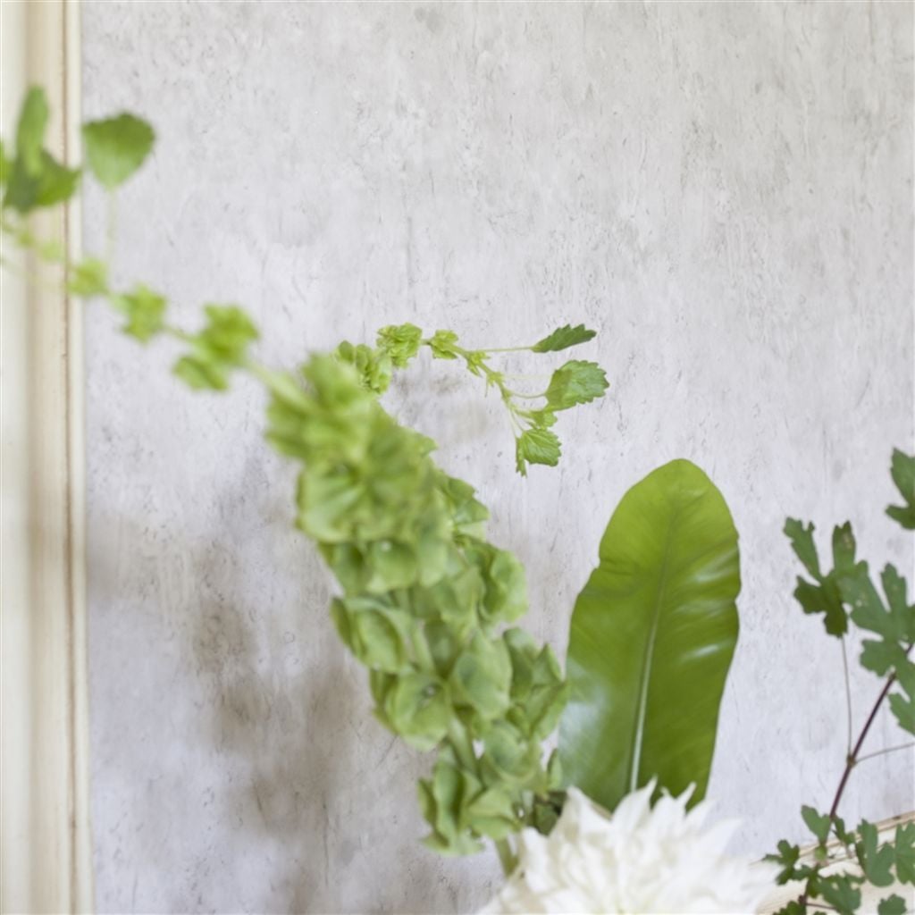 Ellora - Blossom (Linnaeus)